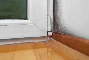 home mold problem